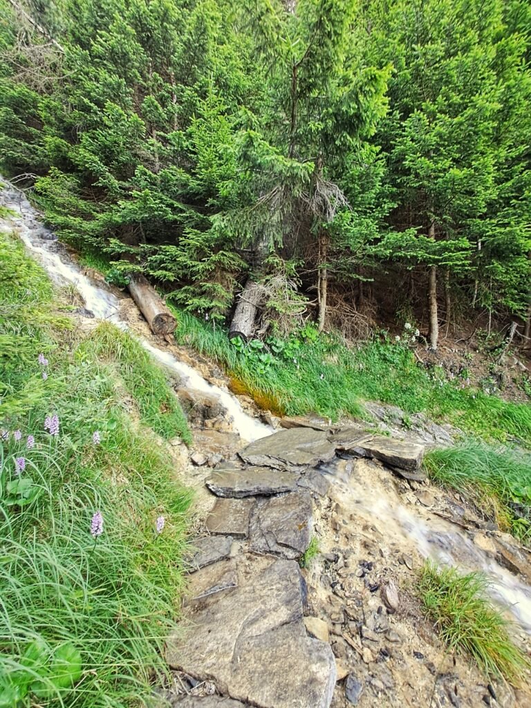 Cascate_itinerario_Colle_Licony Escursioni in Valdigne