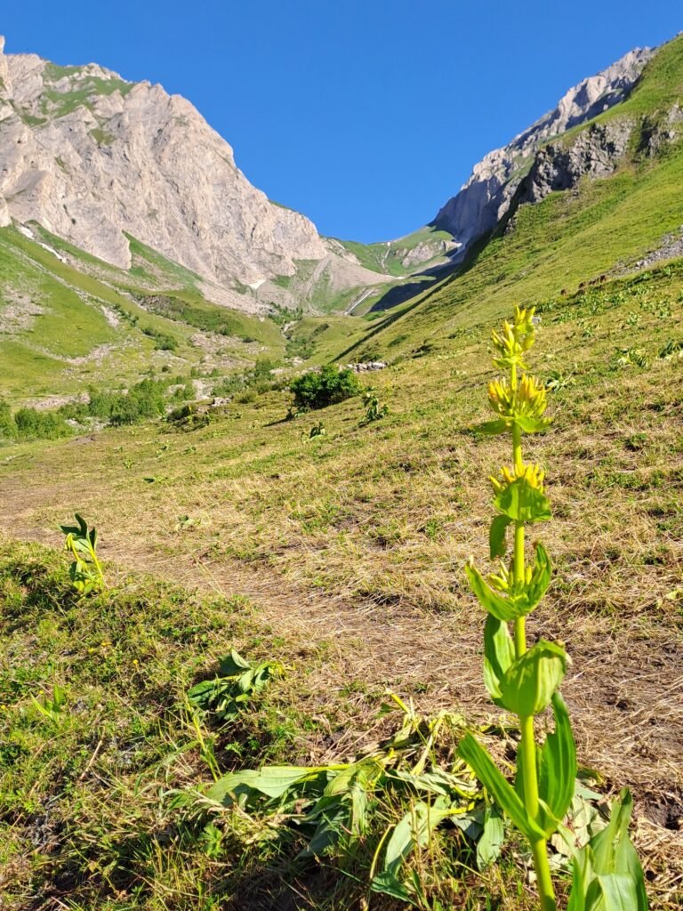 Vallone_Licony Verso il Lago Liconi Valle d'Aosta