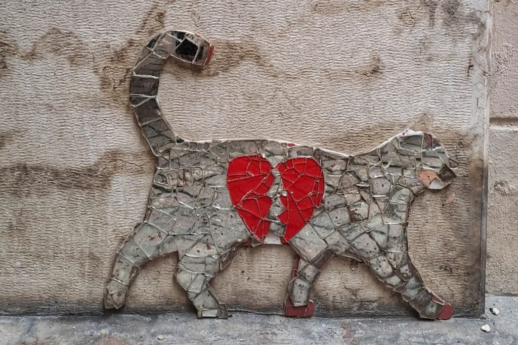 gatto_cuore_infranto_Verona Angoli segreti Verona tour gratuito