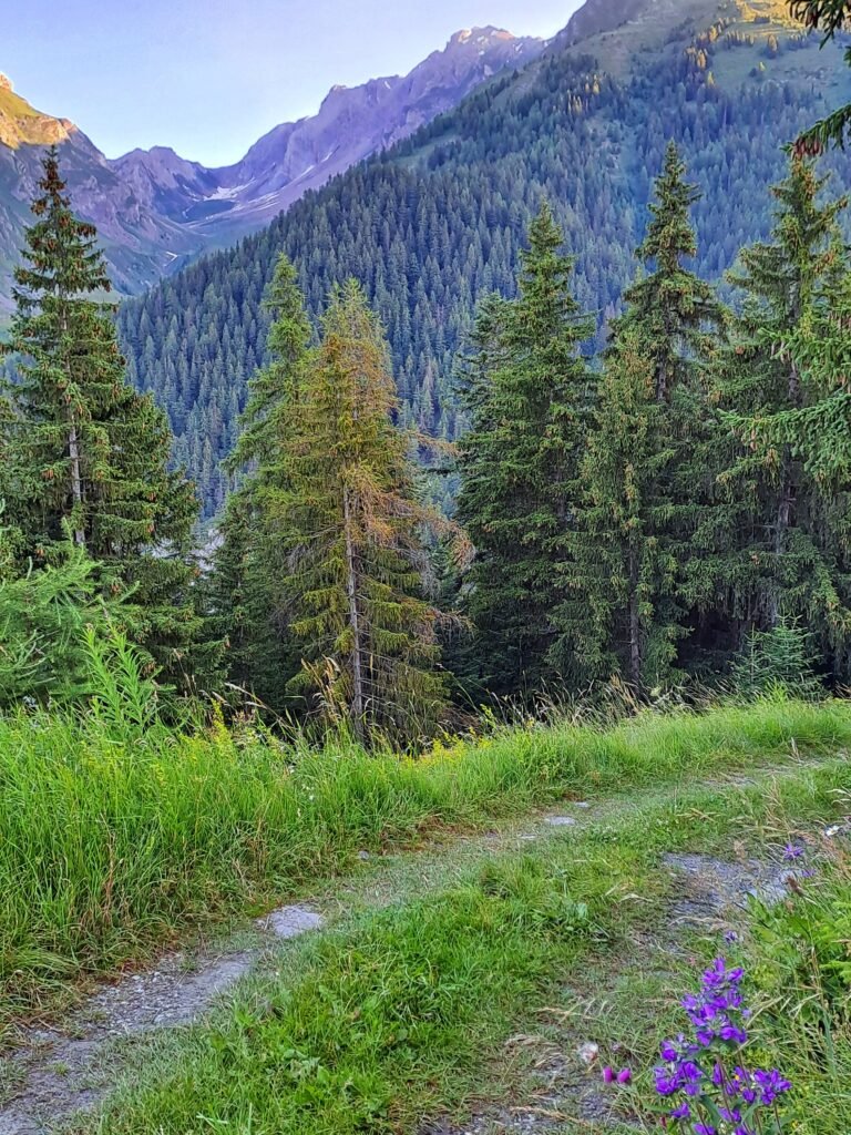 itinerario_Lago_licony Escursione al Colle Liconi