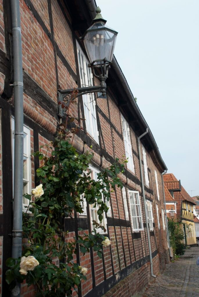 Viaggio in Danimarca visita Ribe