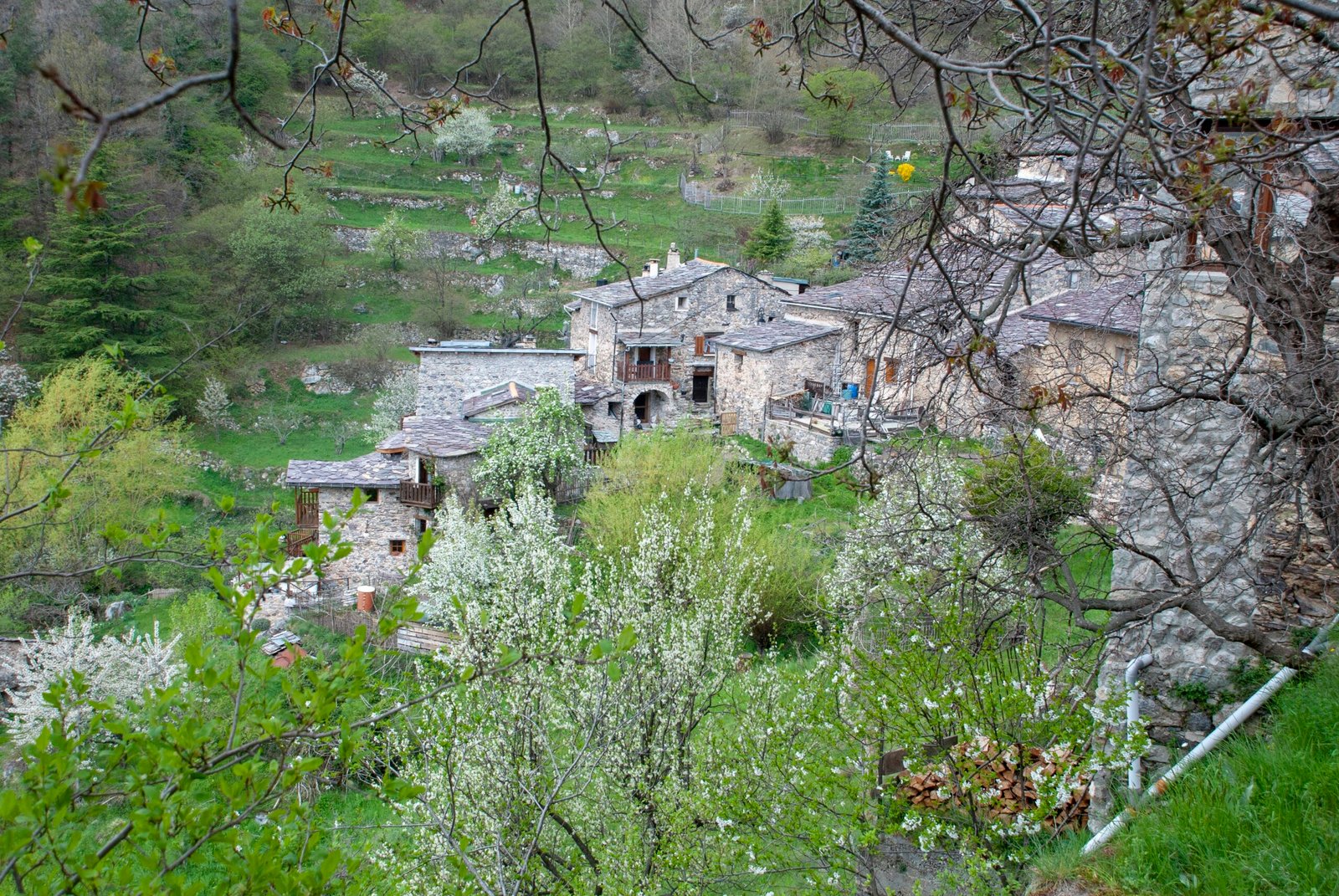 Vista su Granile, un piccolo borgo alpino della Valle Roya, circondato da boschi e montagne