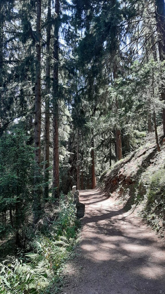 Passeggiata-Regina-Gressoney Cosa fare a Gressoney