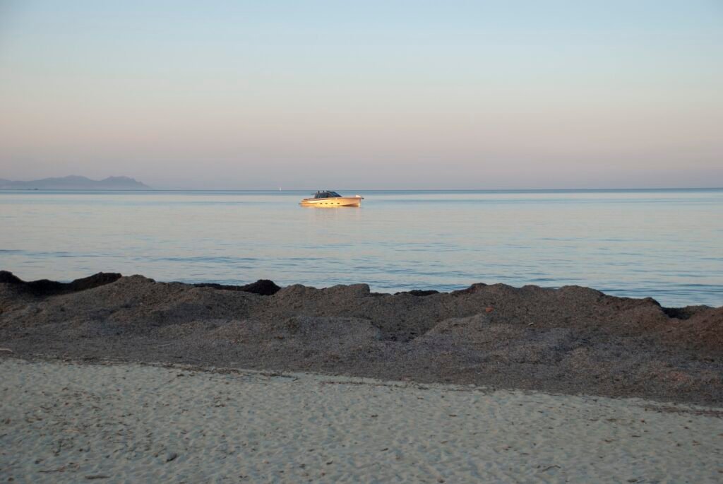 Tramonto tra la Posidonia a Ramatuelle Cumuli di Posidonia sulla spiaggia di Pampelonne in bassa stagione, Ramatuelle