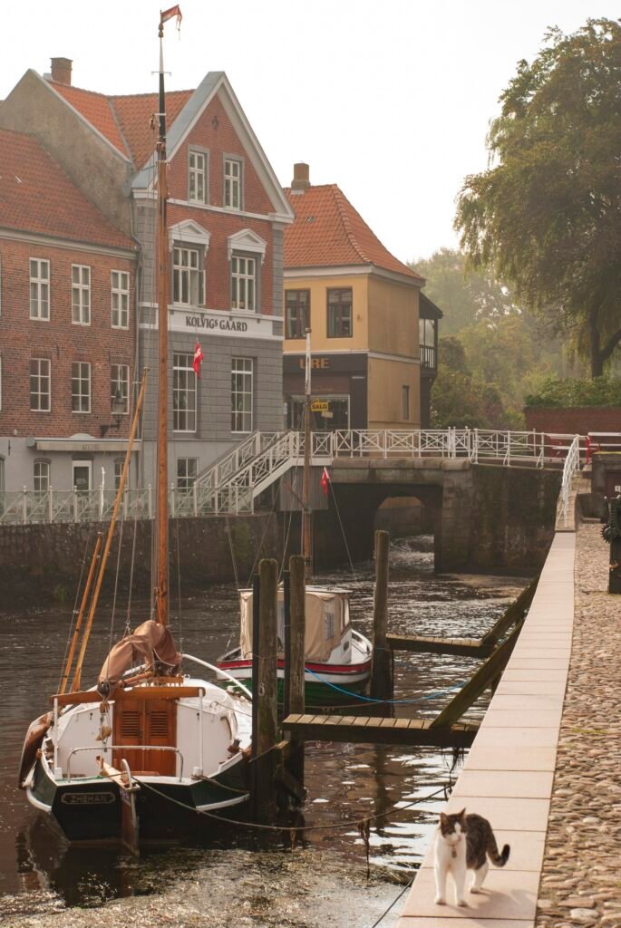 Viaggio in Danimarca itinerario Ribe