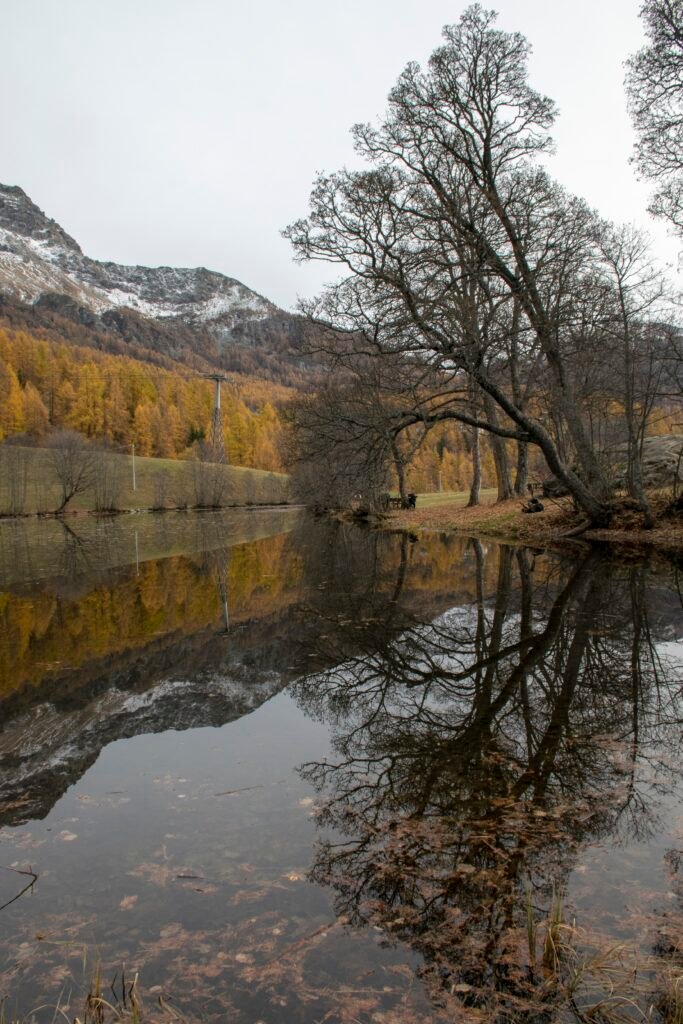 Foliage Lago Loz Valle d'Aosta