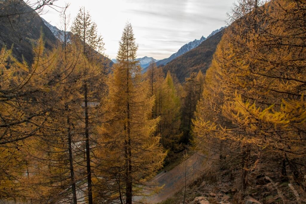 Colori foliage in Valle d'Aosta