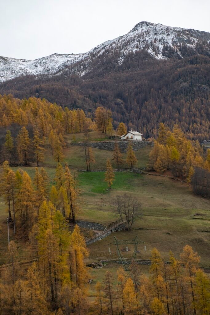 Foliage in Valle d'Aosta