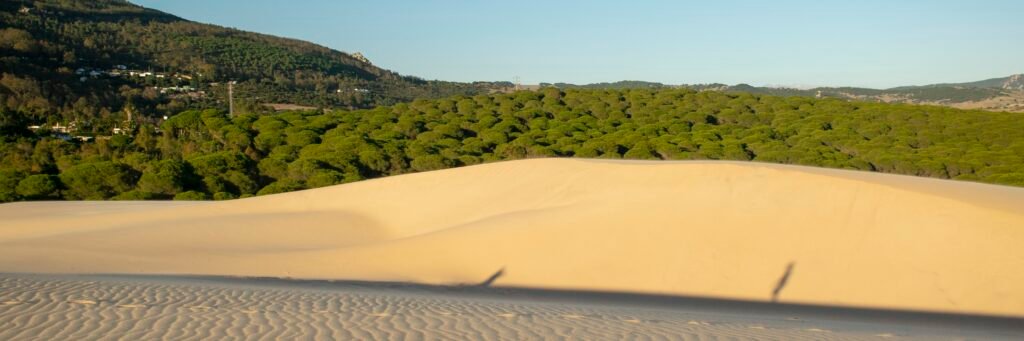 Natura in Andalusia: Dune di Bolonia in camper