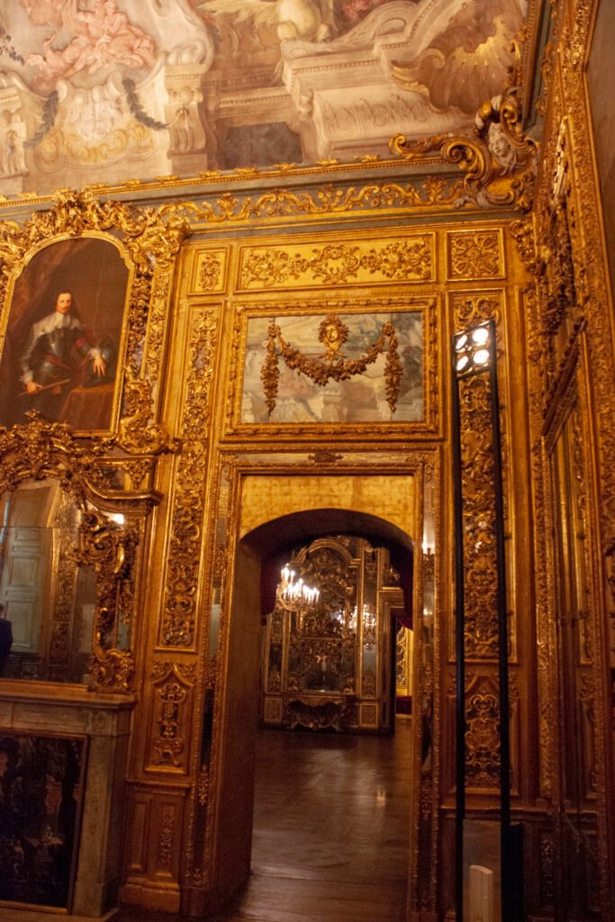 Sala delle Battaglie Visita degli appartementi dei principi di Carignano