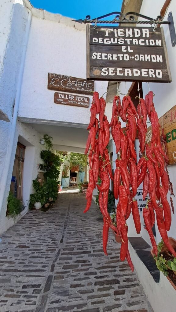 Visitare l'Andalusia in camper: Pampaneira