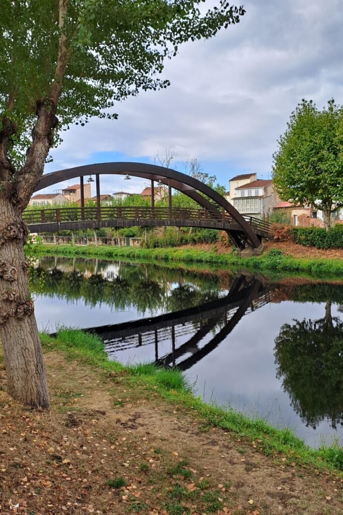 Camino de Invierno: visita di Monforte de Leon