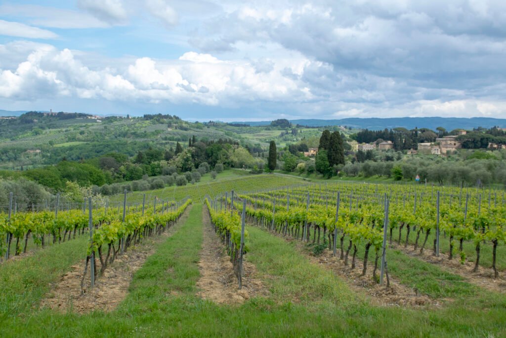 Panorami del Chianti