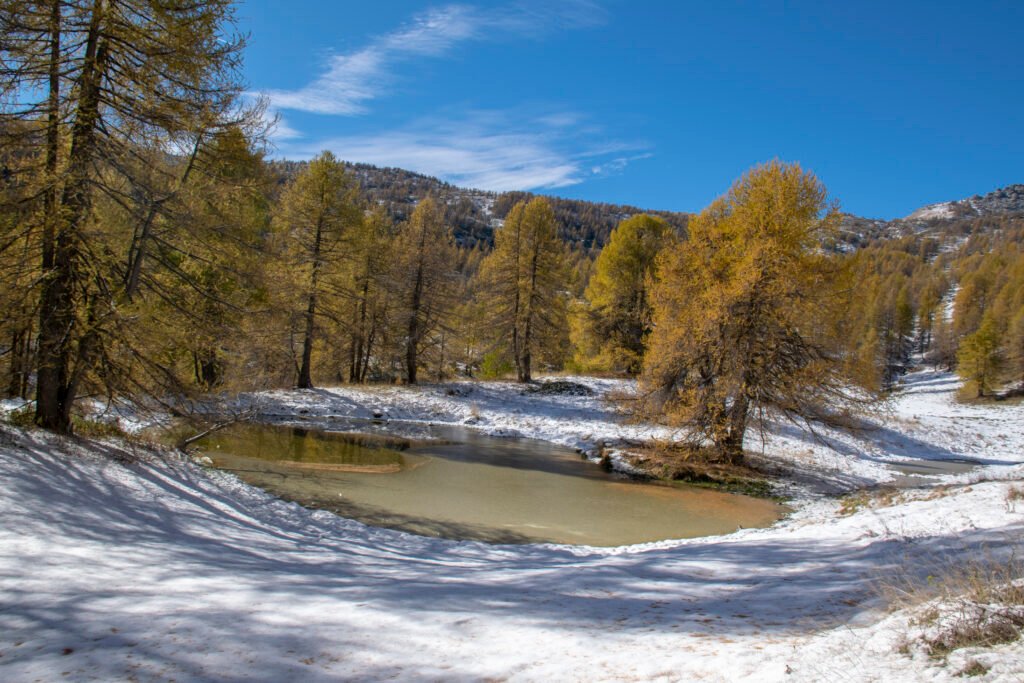 Escursioni nelle Alpi Cuneesi - il Bosco delle Navette in autunno