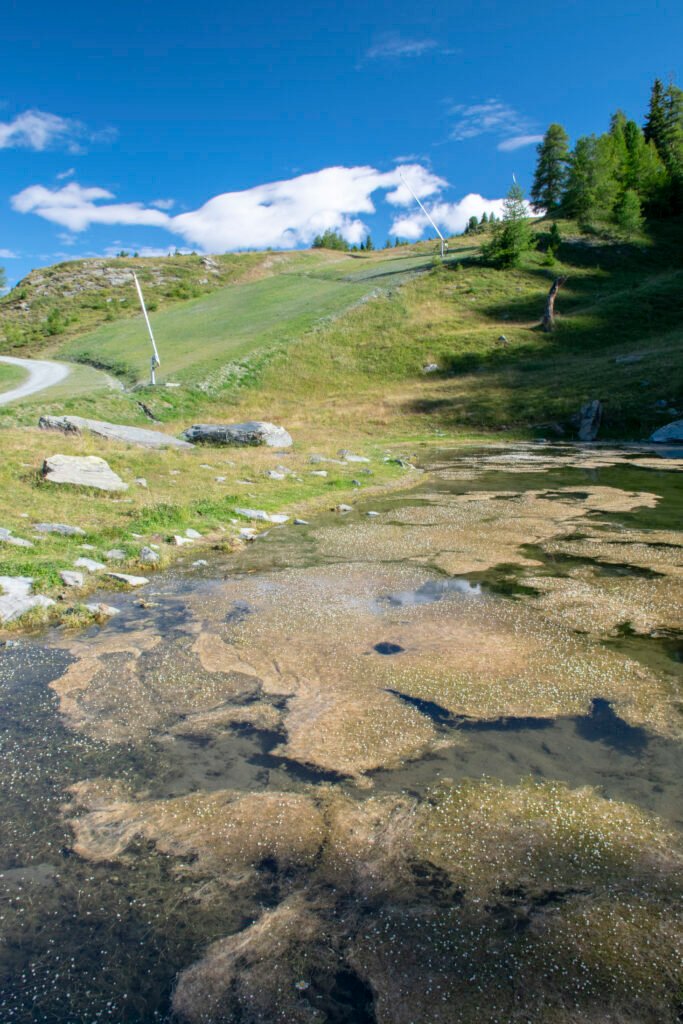 Grande anello dei Laghi di Crest: il Lago delle Rane