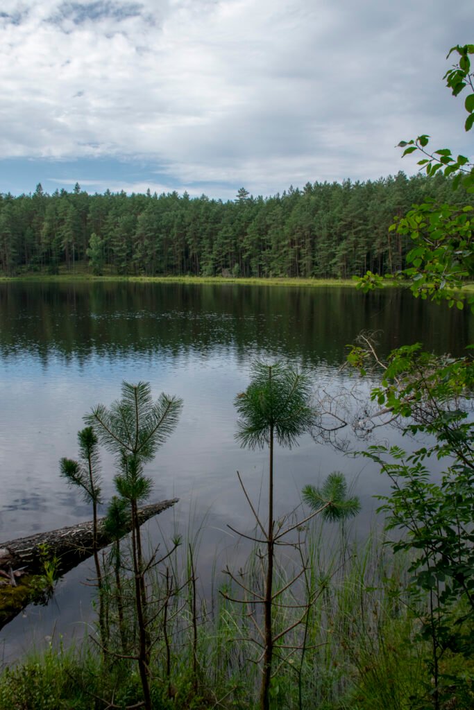Masuria e Polonia in camper: trekking nella regione dei grandi laghi