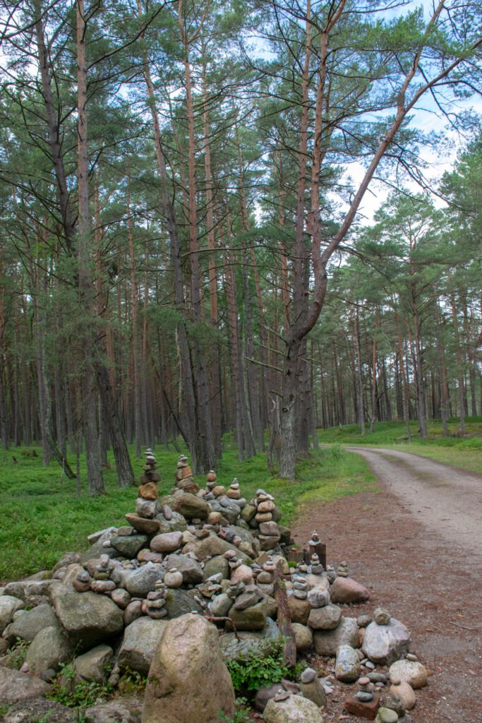 Visitare la Polonia in camper: trekking nello Slowinski Park